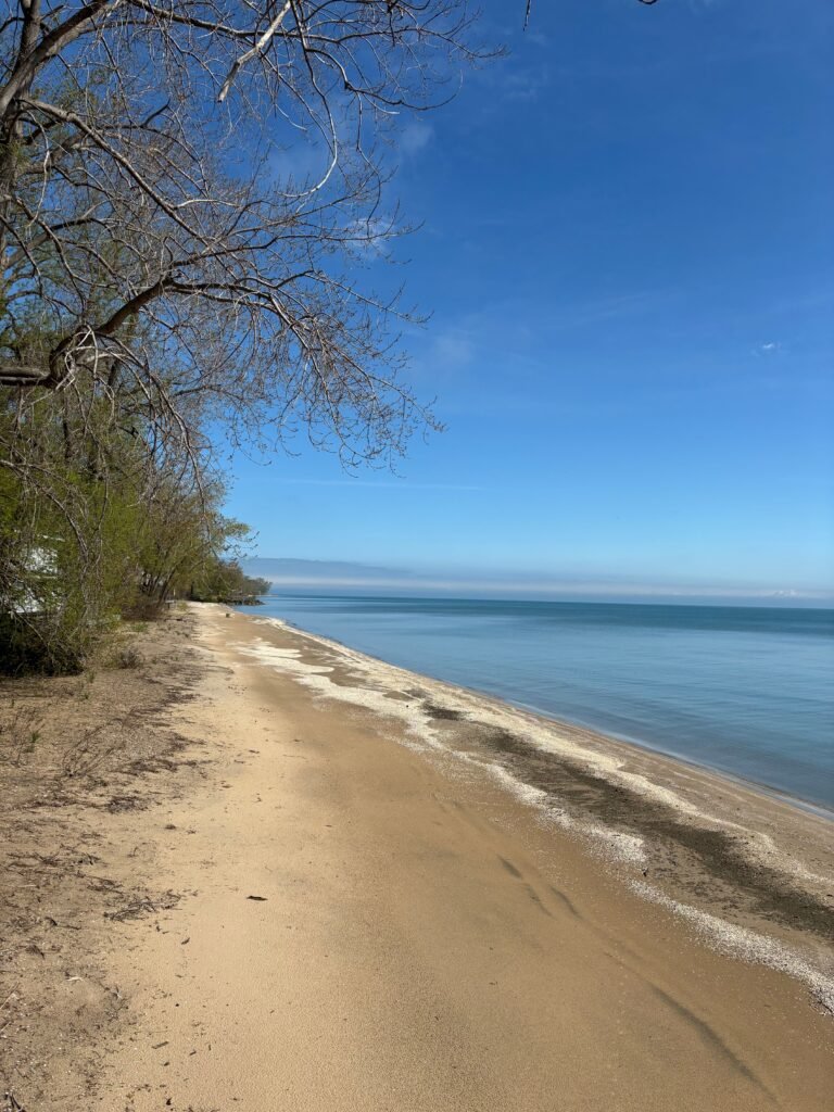 Serene view of a sandy beach with clear blue skies and calm waters on Pelee Island, Ontario.